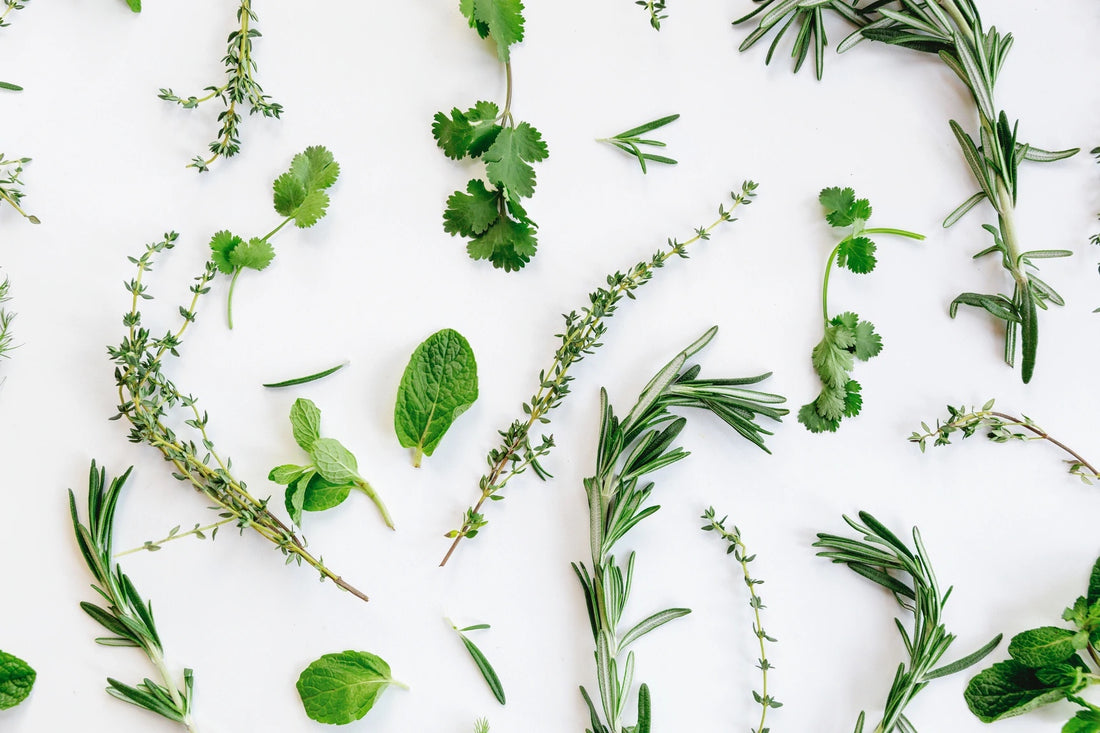 Healing Power of Herbs - Bunney’s Naturals & Organics